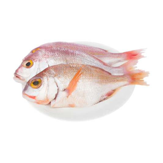 Deux dorades roses surgelées présentées sur une assiette blanche, parfaites pour recettes de poisson frais et savoureux.