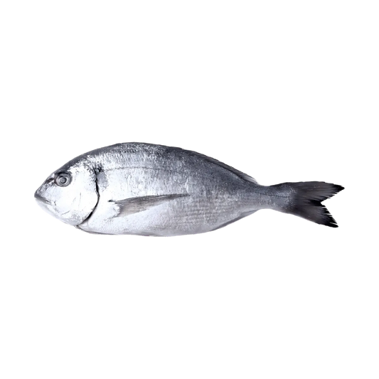 Dorade grise entière, poisson maigre riche en protéines, idéale pour une alimentation saine et riche en oméga 3.