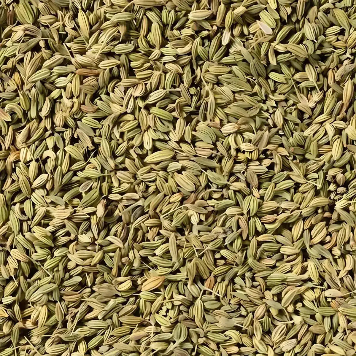 Gros plan sur graines de fenouil entier SAMIA, texture croquante et arôme anisé. Idéal pour assaisonner soupes et salades.