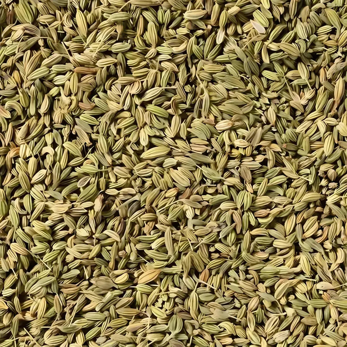Gros plan sur le Fenugrec entier SAMIA, graines croquantes à la saveur douce et anisée. Idéal pour cuisine orientale et recettes maison.