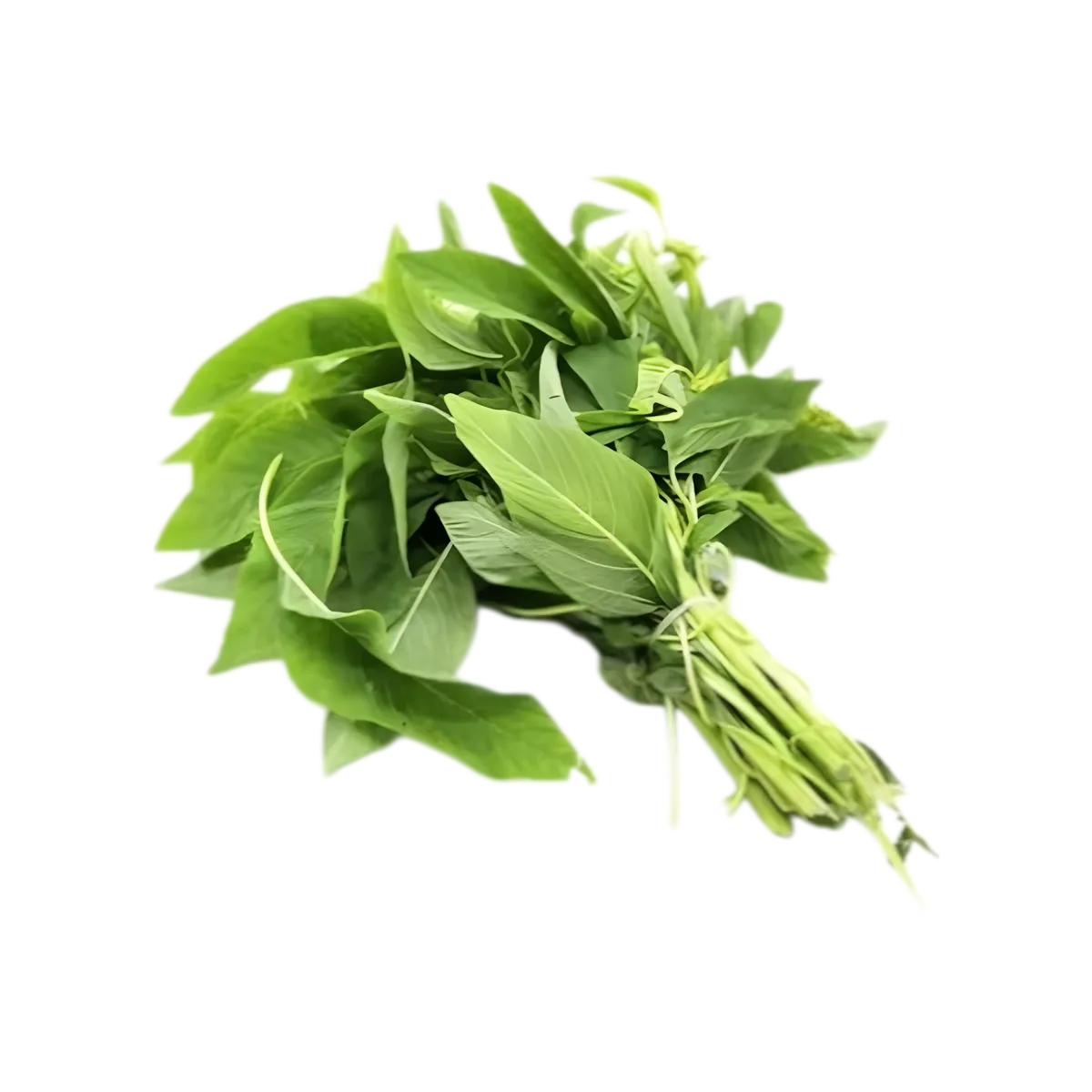 Bouquet frais de feuilles d'amarante vertes, idéal pour une utilisation culinaire variée. Légume nutritif prisé dans les plats traditionnels.