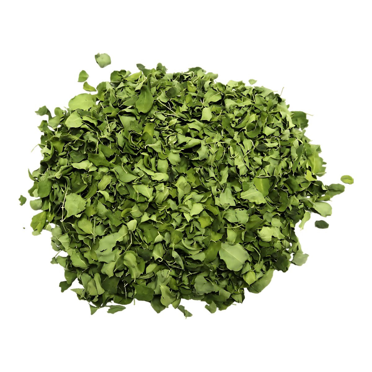 Feuille de Moringa KILIMA