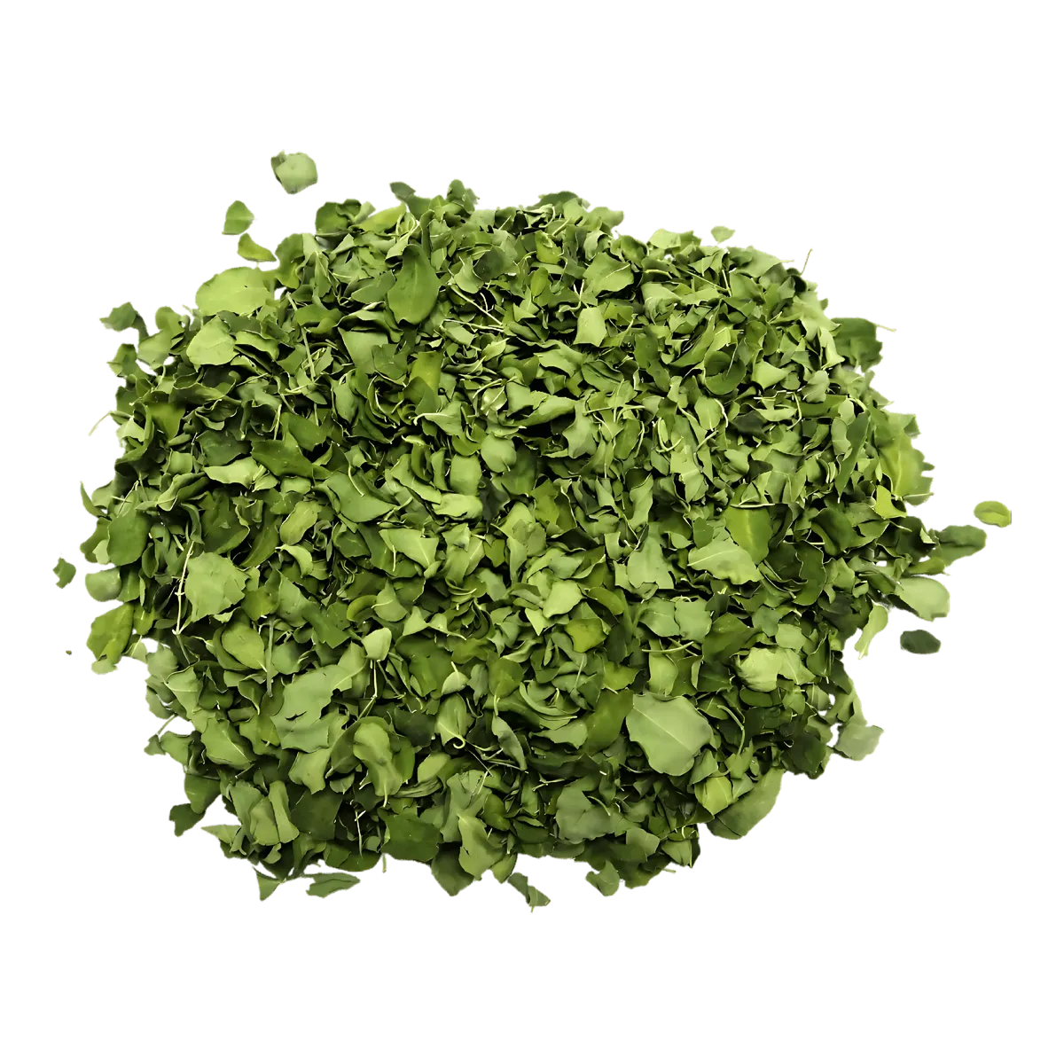 Feuilles de Moringa KILIMA séchées en vrac, source naturelle de nutriments pour infusions bien-être et compléments alimentaires.