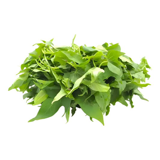 Feuille de patate fraîches, aussi appelées matembele, légume tropical vert foncé idéal pour plats africains nutritifs et équilibrés.