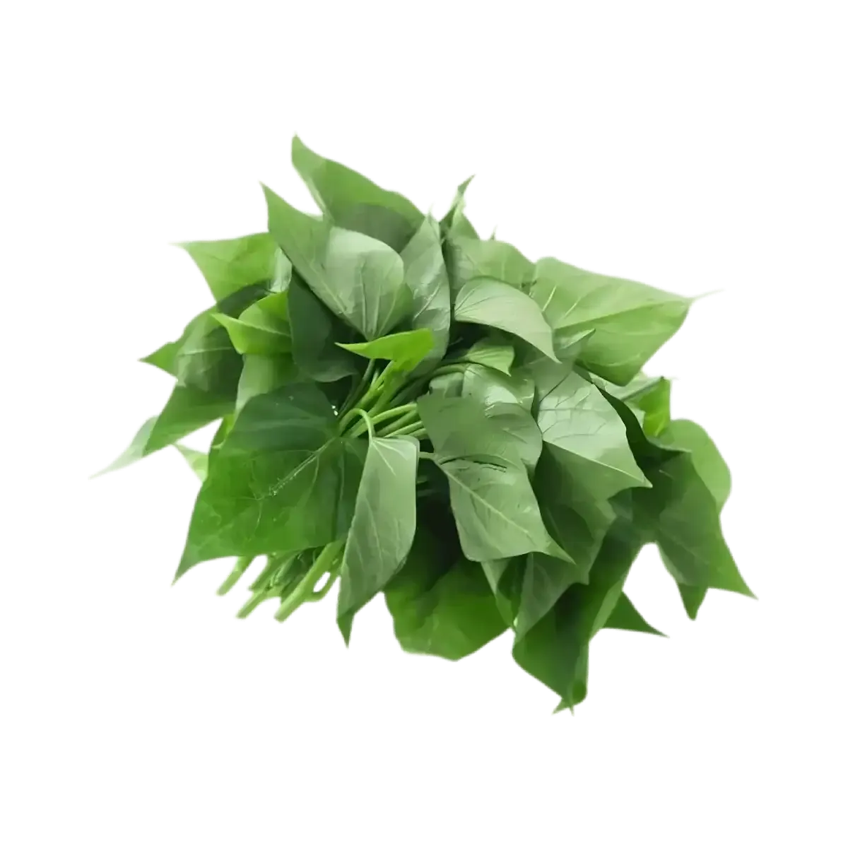 Feuille de Patate - Bouquet de feuilles fraîches de patate douce, aussi appelées Matembele, utilisées en cuisine africaine et disponibles surgelées.