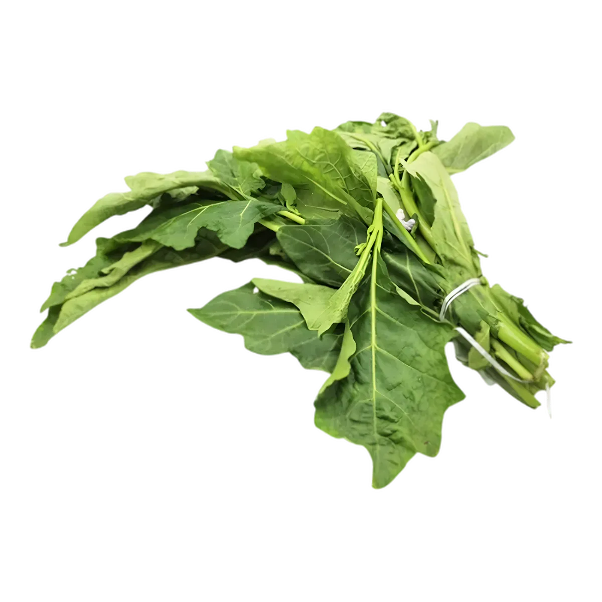 Bouquet de feuilles d'aubergine africaines fraîches, parfait pour des recettes traditionnelles riches en goût et en nutriments.