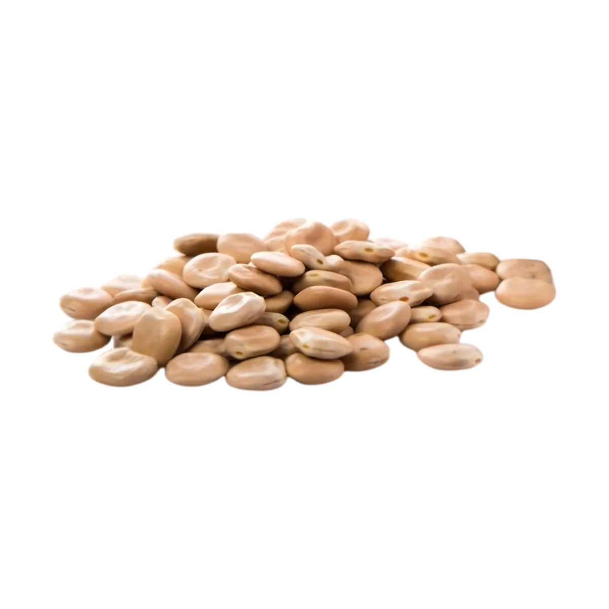 Fèves protéinées LEGUMOR en vrac, source naturelle de fibres et protéines, parfaites pour recettes végétariennes et saines.
