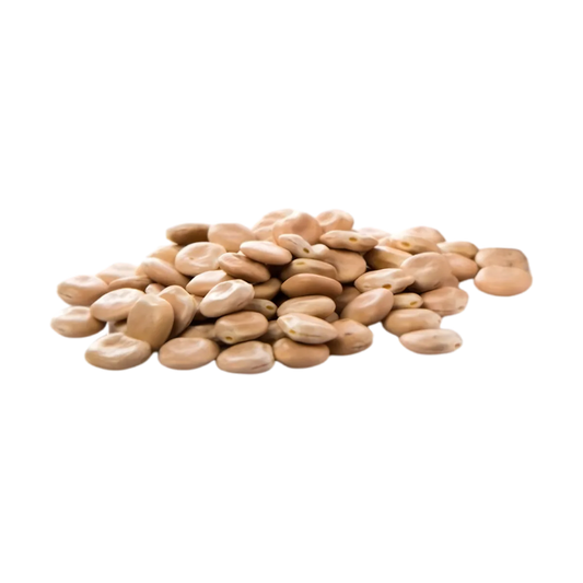 Fèves protéinées LEGUMOR en vrac, source naturelle de fibres et protéines, parfaites pour recettes végétariennes et saines.