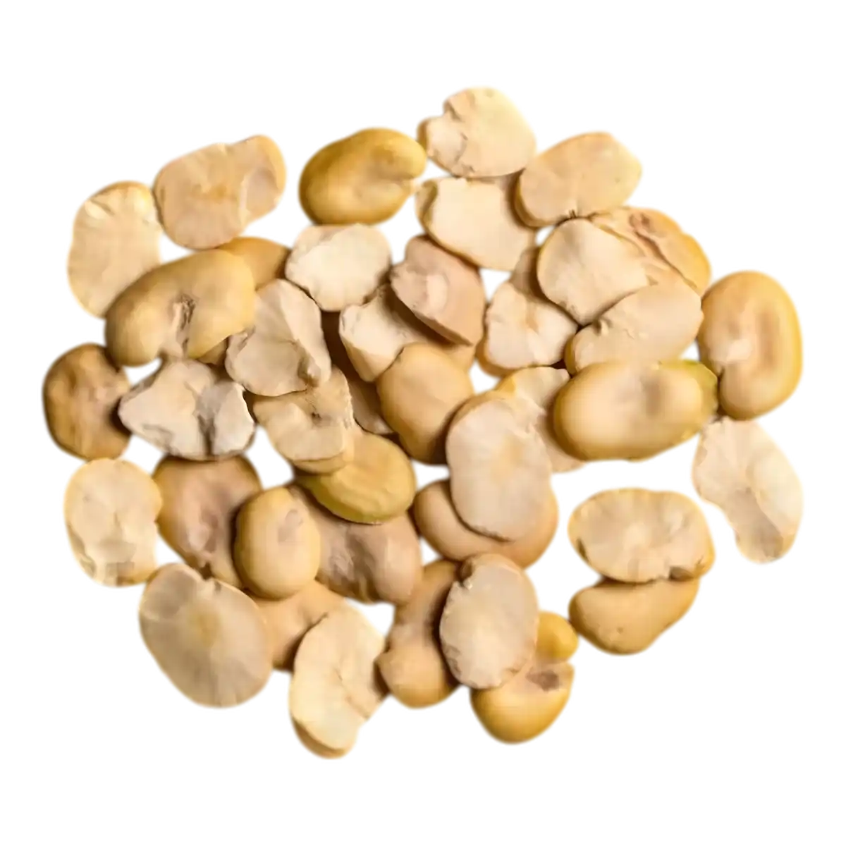 Gros plan sur fevettes décortiquées surgelées LEGUMOR, produit d'épicerie salée prêt à l'emploi pour plats variés.