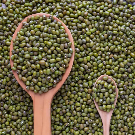 Gros plan de flageolets verts secs dans des cuillères en bois, illustrant leur qualité pour les plats chauds ou froids.