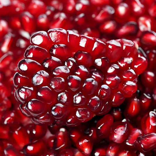 Gros plan sur des graines de grenade juteuses et brillantes, illustrant le goût fruité du Floup Grenadine rafraîchissant.