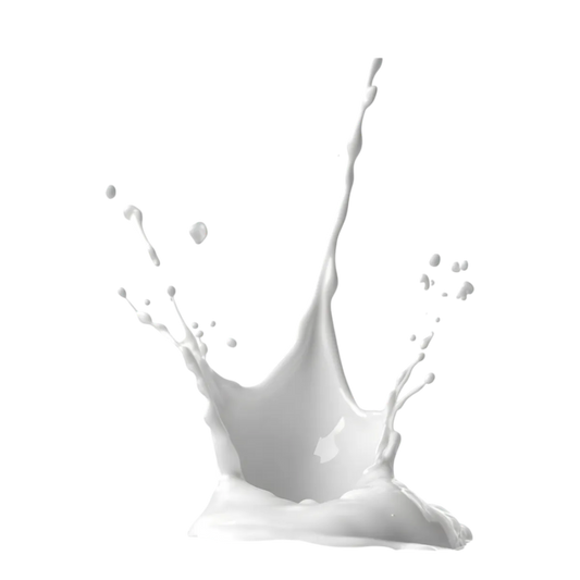 Éclaboussure de lait illustrant la texture crémeuse de Floup vanille crème polyvalente, parfaite pour rehausser vos desserts glacés.