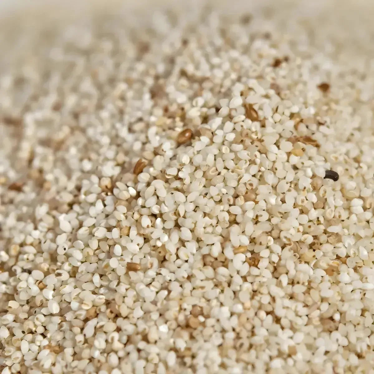 Gros plan sur les grains de fonio précuit bio RACINES BIO, céréale fine et nutritive parfaite pour des plats équilibrés.