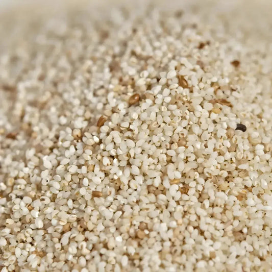 Gros plan sur les grains de fonio précuit bio RACINES BIO, céréale fine et nutritive parfaite pour des plats équilibrés.