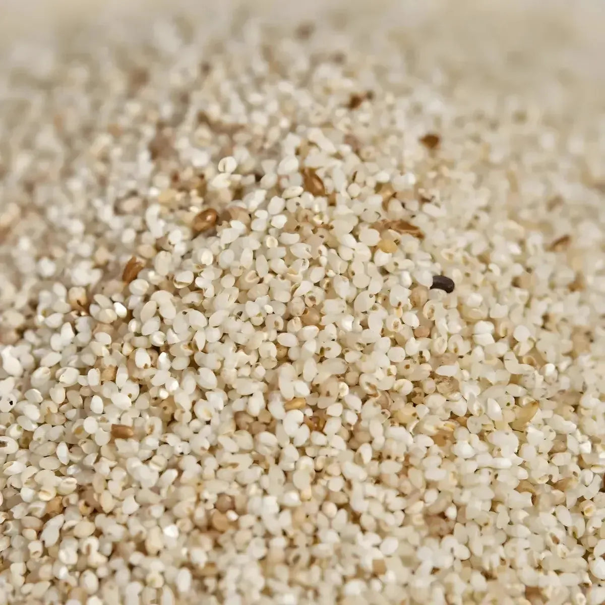 Gros plan sur les grains de Fonio TANTIE - Céréale fine et légère, parfaite pour remplacer riz ou couscous dans vos recettes africaines.
