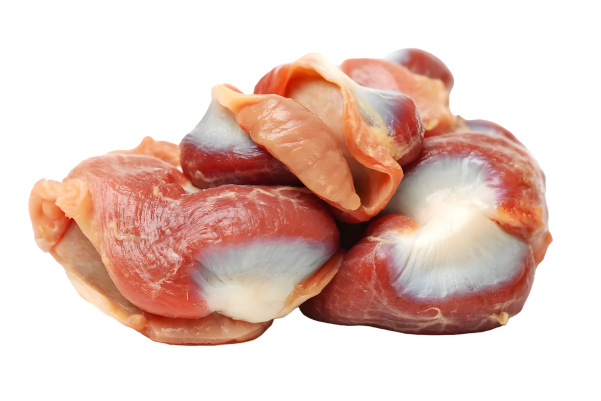 Gésiers de poule