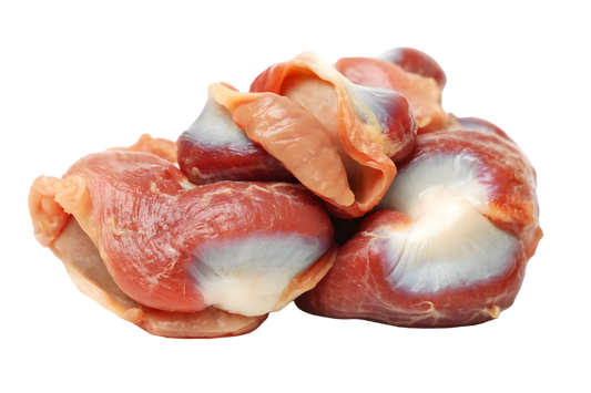Gésiers de poule