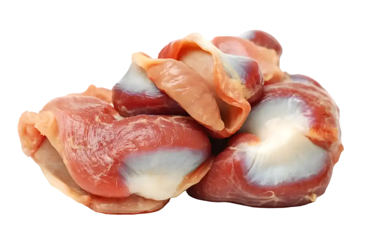 Gésiers de poule crus surgelés empilés, texture fraîche et brillante. Idéal pour plats mijotés ou salades, qualité Fraîcheur Volaille.