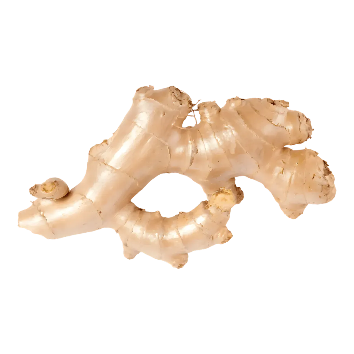 Gingembre frais entier, racine aux bienfaits santé et usage culinaire, idéal pour plats épicés et infusions bien-être.