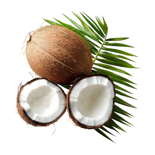 Noix de coco entière et ouverte avec feuille de palmier, ingrédient exotique phare des glaces coco Paradis Glace.