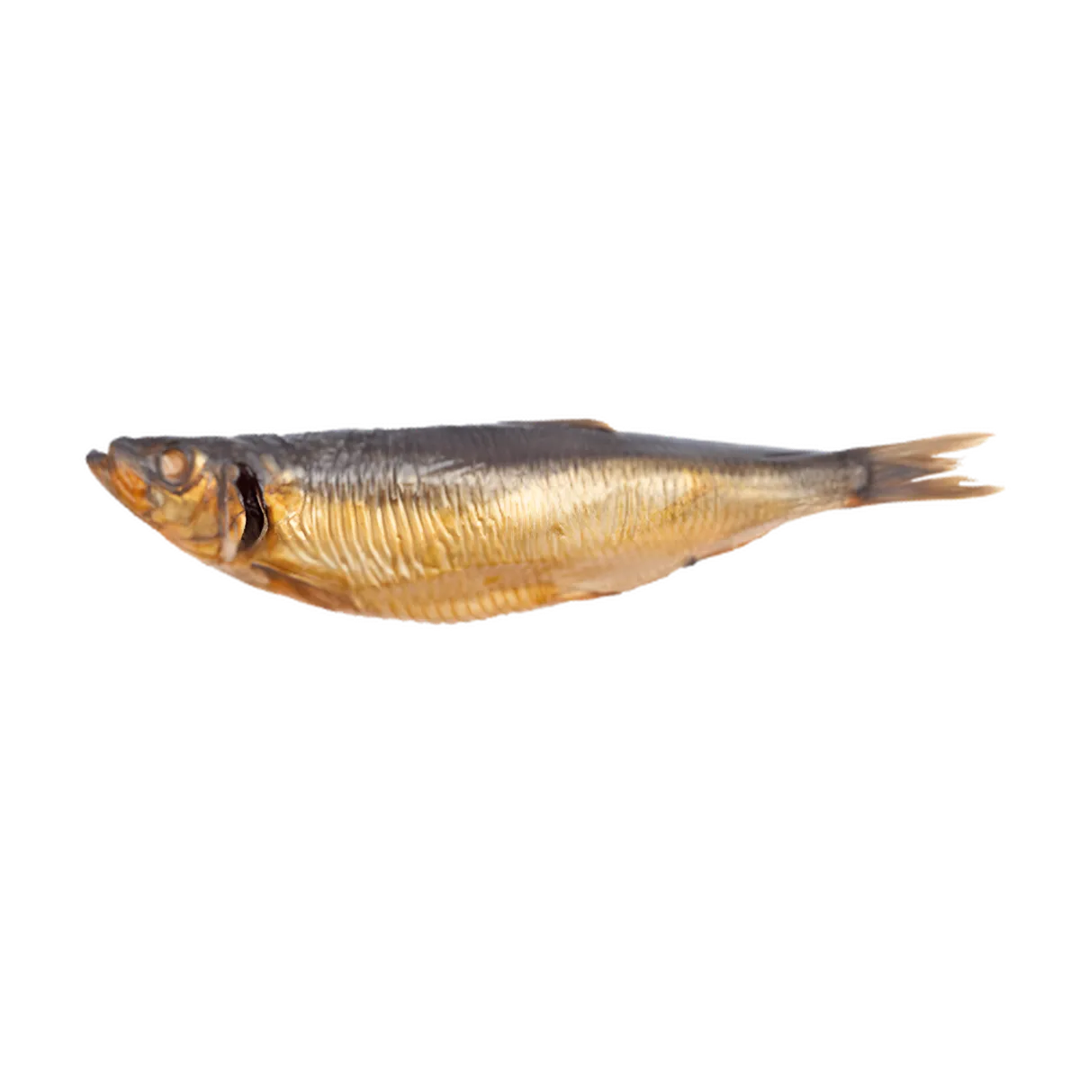 Hareng fumé salé entier, poisson à la texture ferme et goût intense, idéal pour les plats de fruits de mer traditionnels.