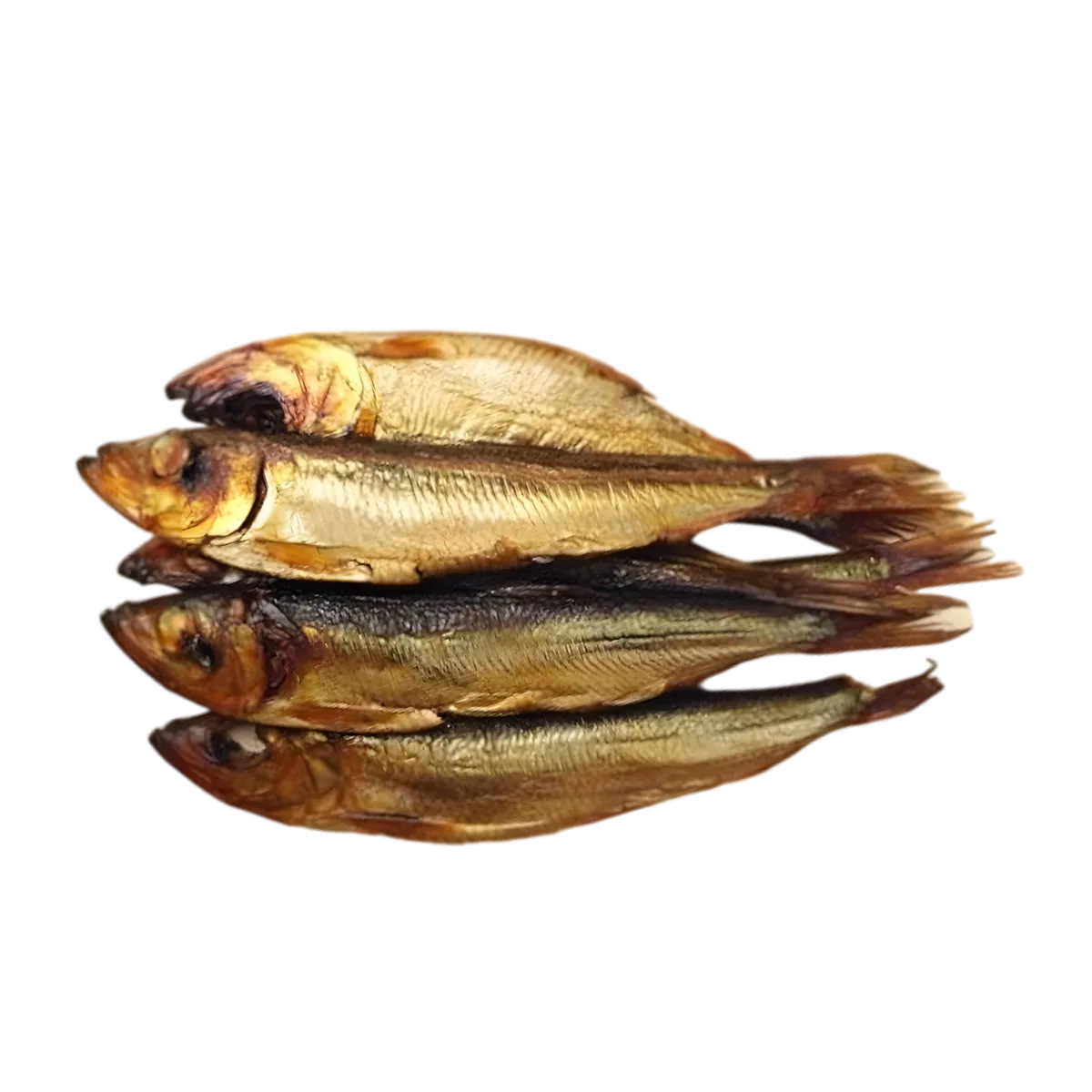 Groupe de harengs fumés salés, poisson savoureux à chair ferme, parfait pour une conservation longue et une cuisine authentique.