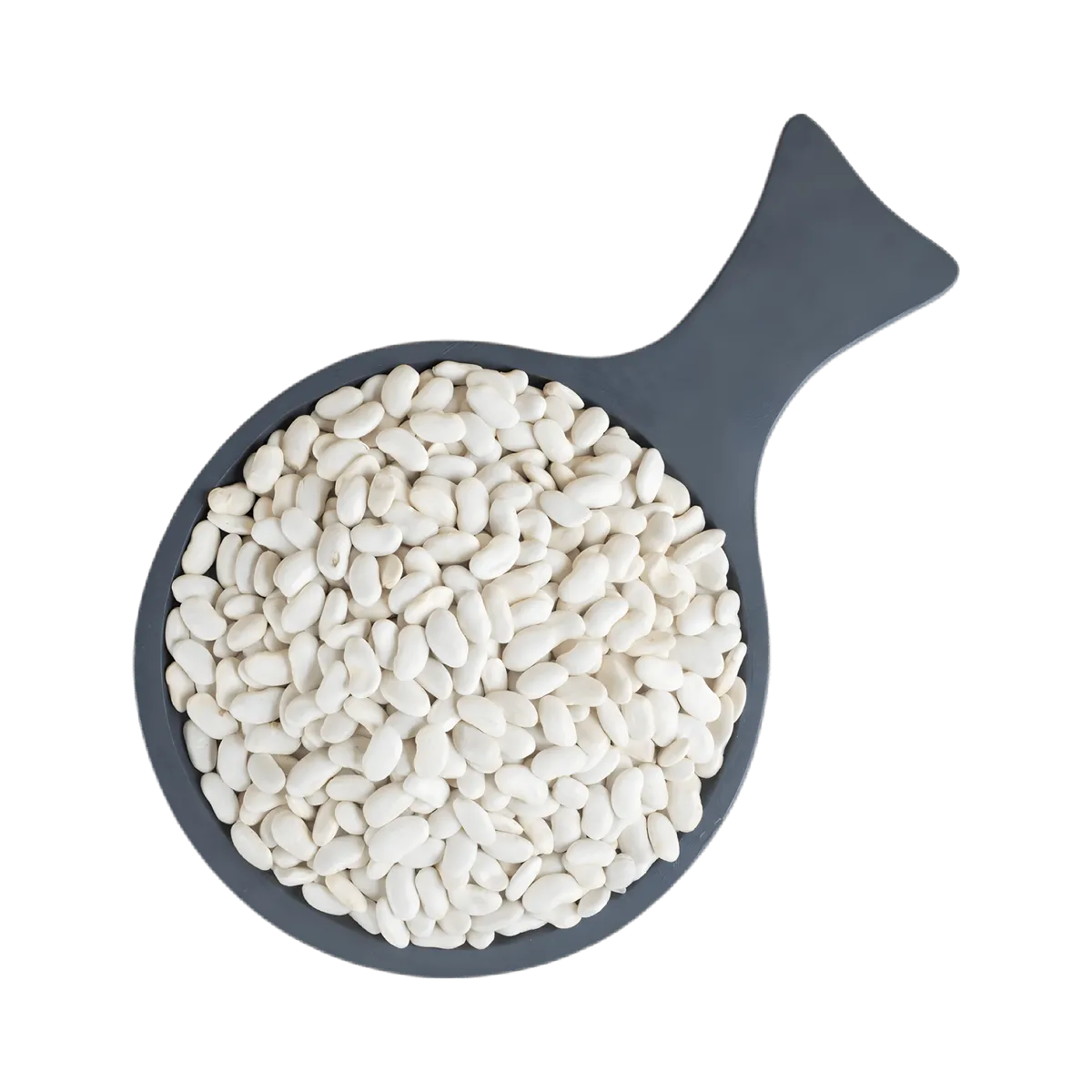 Vue rapprochée de haricots lingots blancs TERSOL dans une louche noire, texture crémeuse idéale pour soupes et salades protéinées.