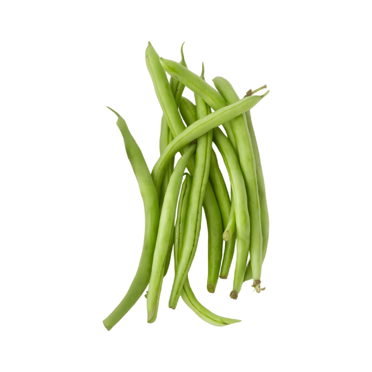 Haricot vert BONDUELLE