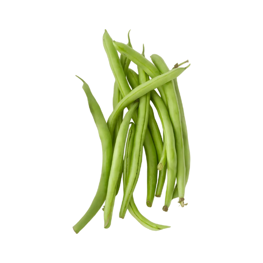 Haricot vert BONDUELLE - Haricots verts frais entiers, parfaits pour illustrer la qualité des légumes en conserve de l'épicerie salée.