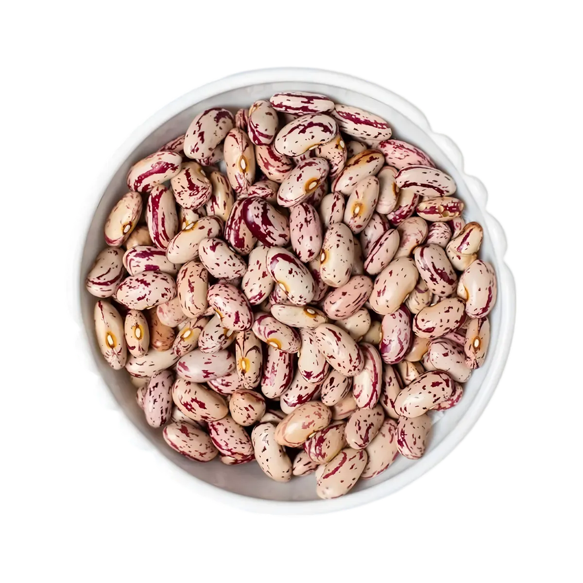 Bol rempli de haricots cocos roses TERSOL secs, couleur rose marbrée, parfaits pour cuisine végétarienne et plats riches en protéines.