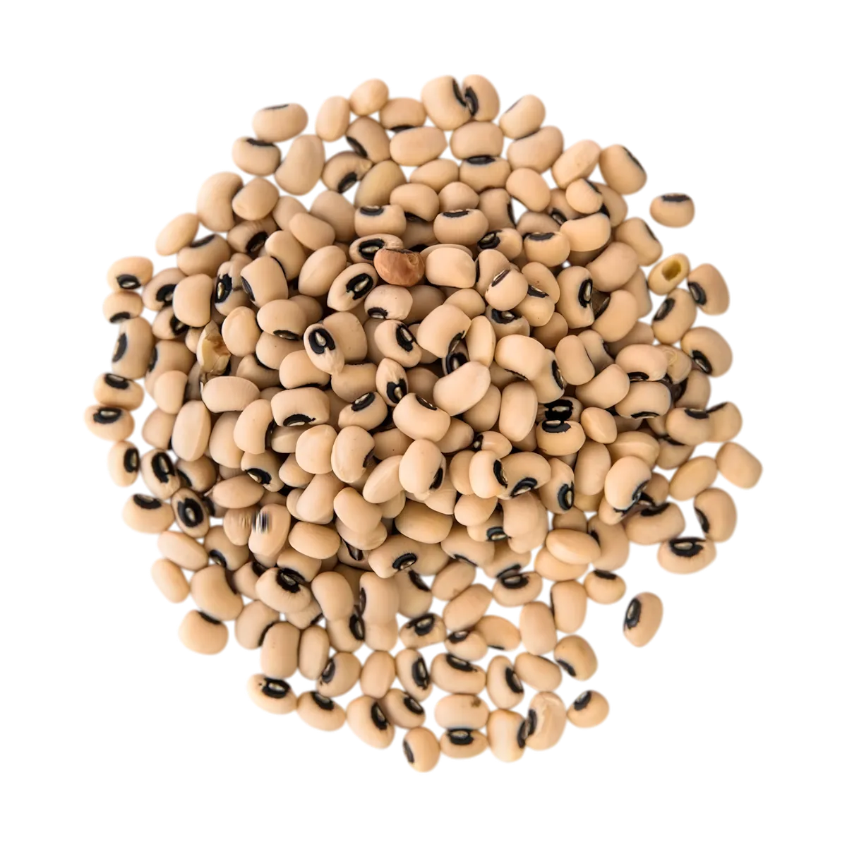 Haricots Cornilles TERSOL secs en vrac - Légumineuses sucrées à texture tendre, parfaites pour recettes nutritives. Catégorie épicerie salée.