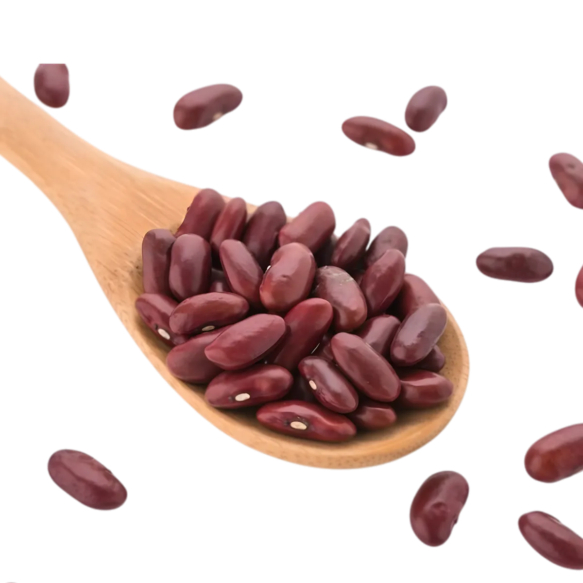 Haricots rosés Célimène - Légumineuses polyvalentes sur cuillère en bois, grains secs de qualité pour cuisine traditionnelle et moderne.