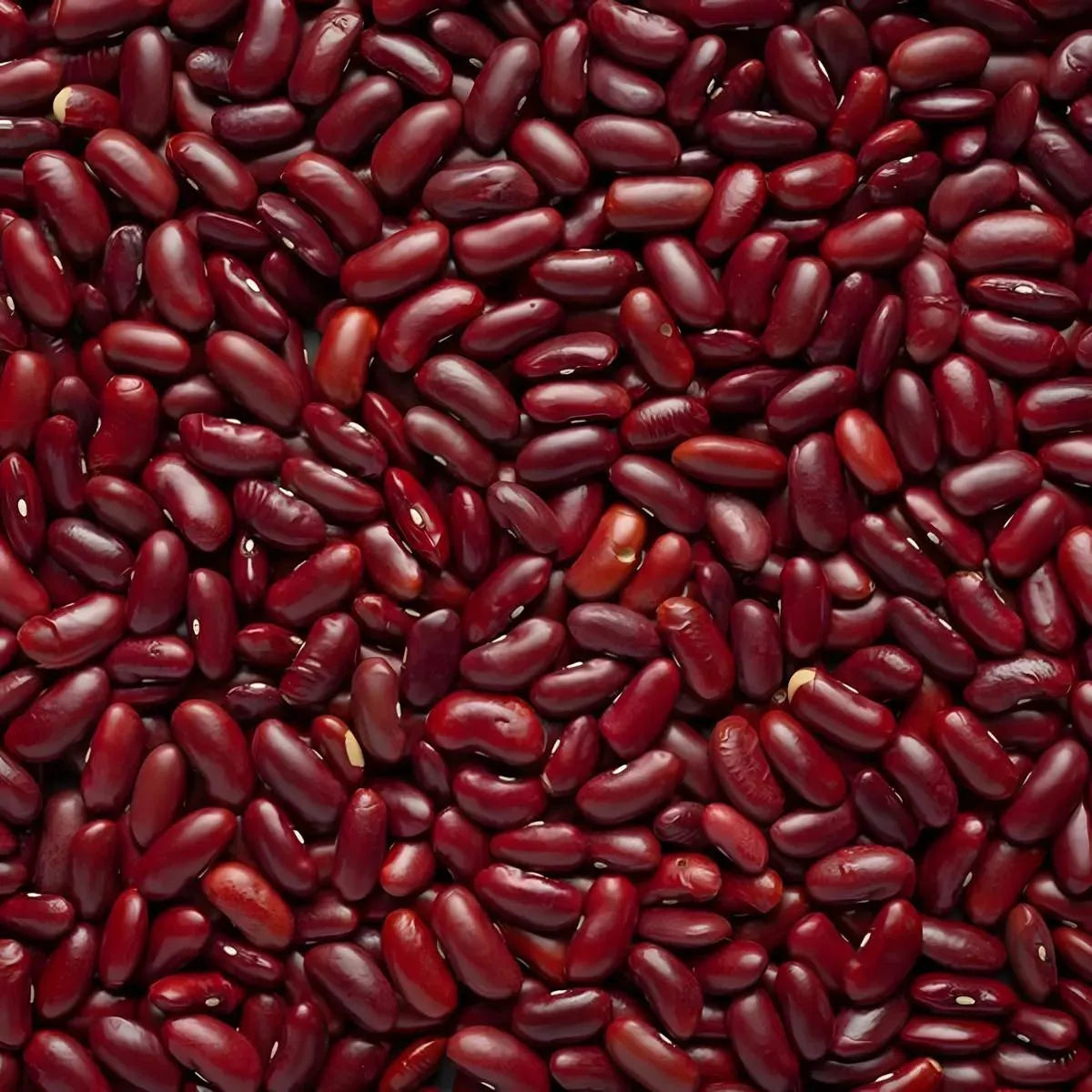 Gros plan de haricots rouges brillants TERSOL - Riches en Saveurs et Textures, légumineuses de qualité pour plats sains.