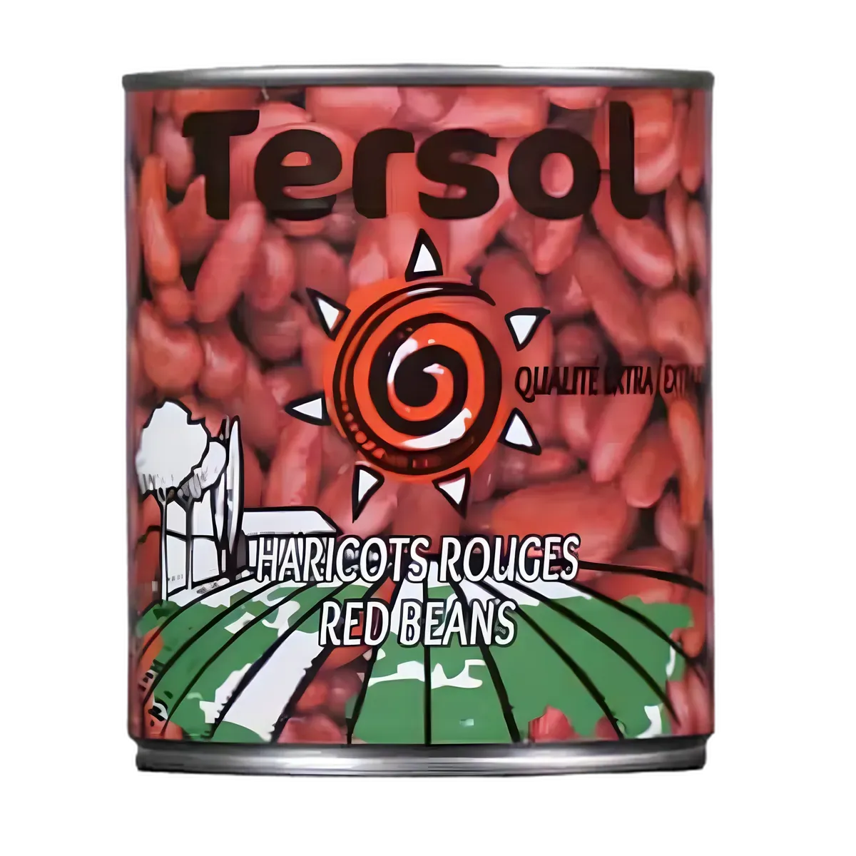 Boîte de Haricots Rouges TERSOL - Riches en Saveurs et Textures, légumineuses en conserve de qualité pour recettes variées.