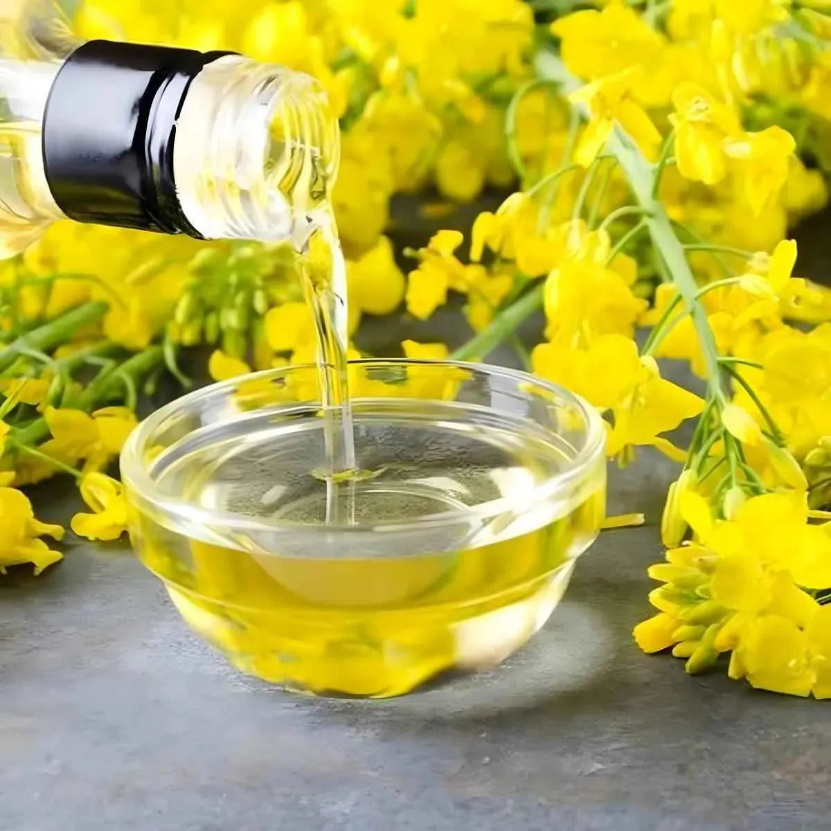 Huile de colza claire versée dans un bol en verre, entourée de fleurs de colza jaunes. Ingrédient naturel pour cuisine légère et équilibrée.