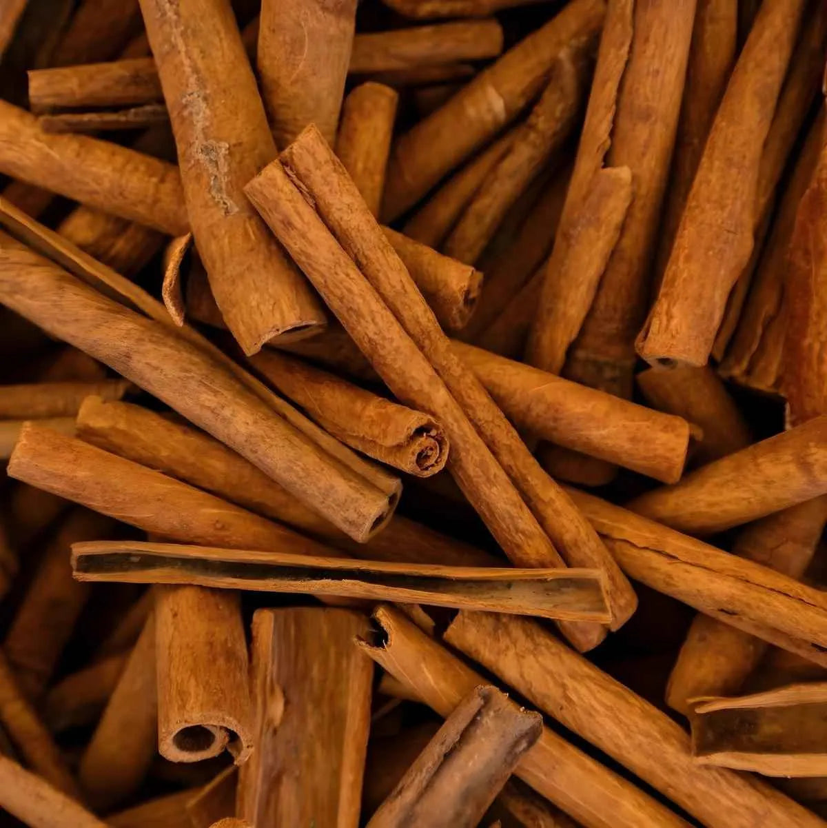 Bâtons de cannelle naturelle, ingrédient clé de l'Infusion Circulation BIO PROPHYTAMINE. Saveur épicée pour infusion bien-être.