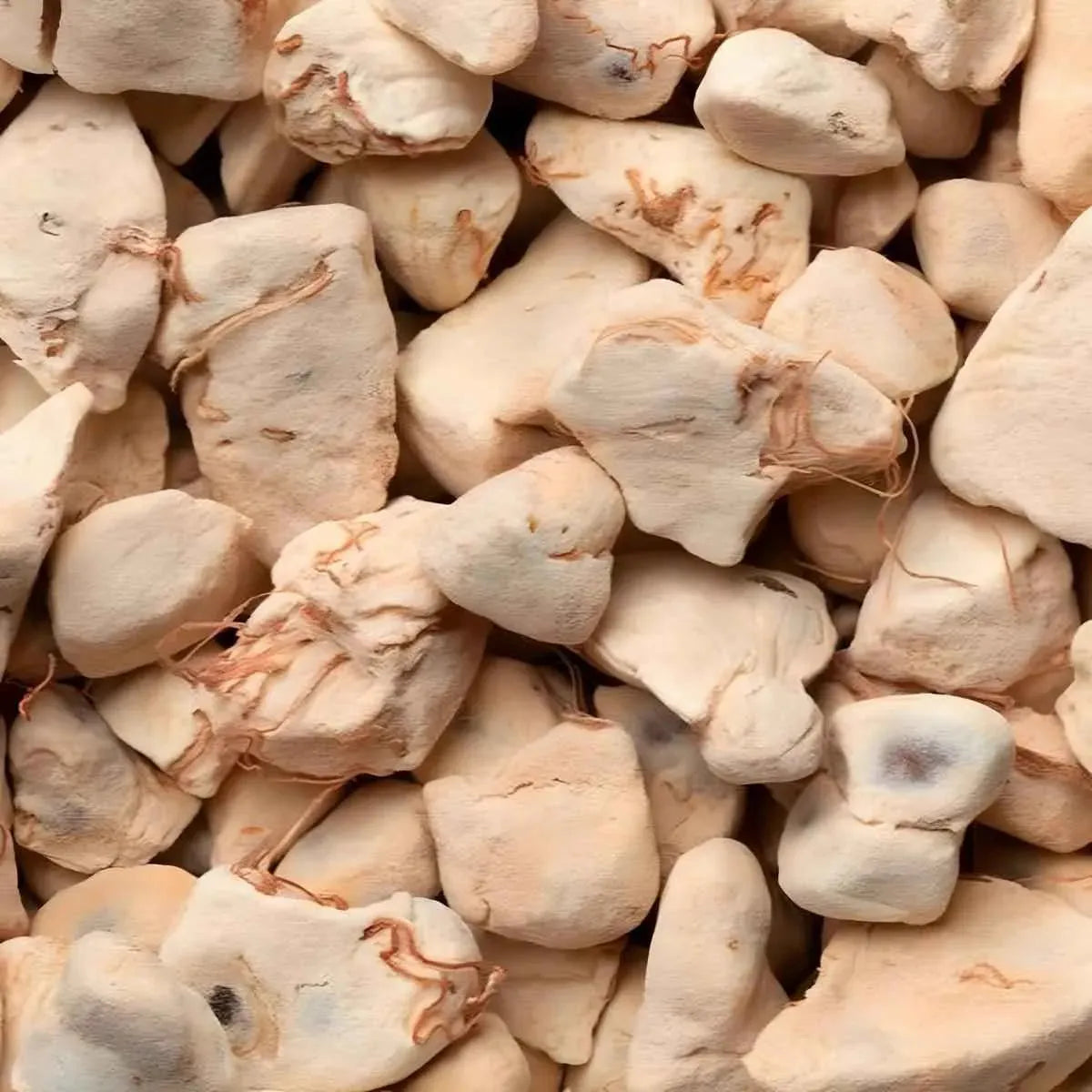 Gros plan sur des morceaux de racines de baobab séchées, ingrédient naturel utilisé dans l’infusion bio RACINES aux bienfaits africains.