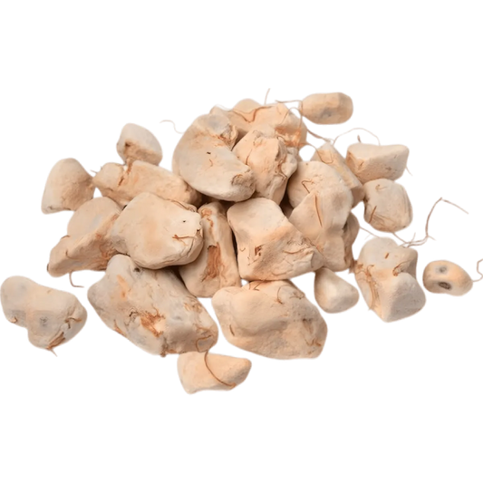 Morceaux de pulpe de baobab séchée utilisés pour l'infusion Baobab Racines, riches en antioxydants et parfaits pour une infusion naturelle.