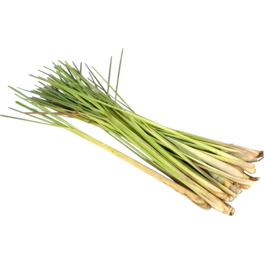 Tiges fraîches de citronnelle utilisées pour l'infusion citronnelle gingembre bio RACINES, ingrédient naturel aux notes citronnées.