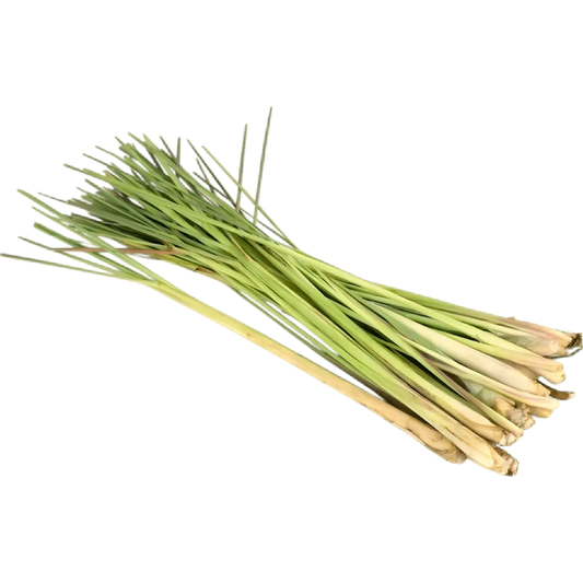 Tiges fraîches de citronnelle utilisées pour l'Infusion Citronnelle RACINES, ingrédient naturel aux notes citronnées et bienfaits digestifs.