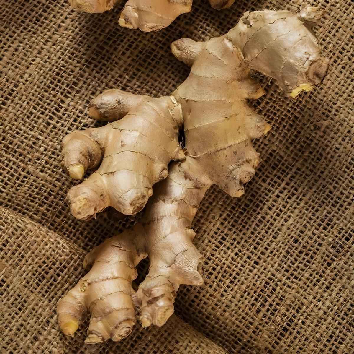 Infusion d'Afrique gingembre BIO RACINES