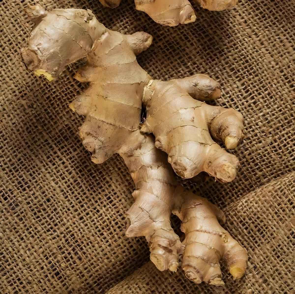 Infusion d'Afrique gingembre bissap RACINES
