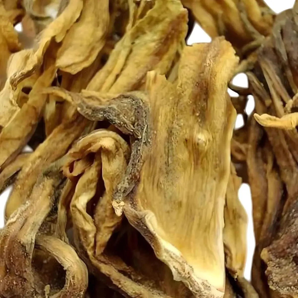 Gros plan sur fleurs séchées d'hibiscus blanc utilisées pour l'infusion BIO RACINES, ingrédient naturel pour boisson bien-être.