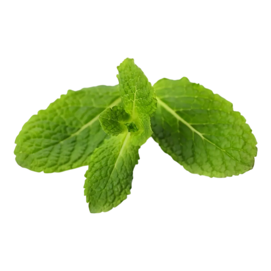 Feuilles de menthe fraîche, ingrédient clé de l'infusion d'Afrique BIO RACINES hibiscus menthe, pour une boisson naturelle et tonifiante.