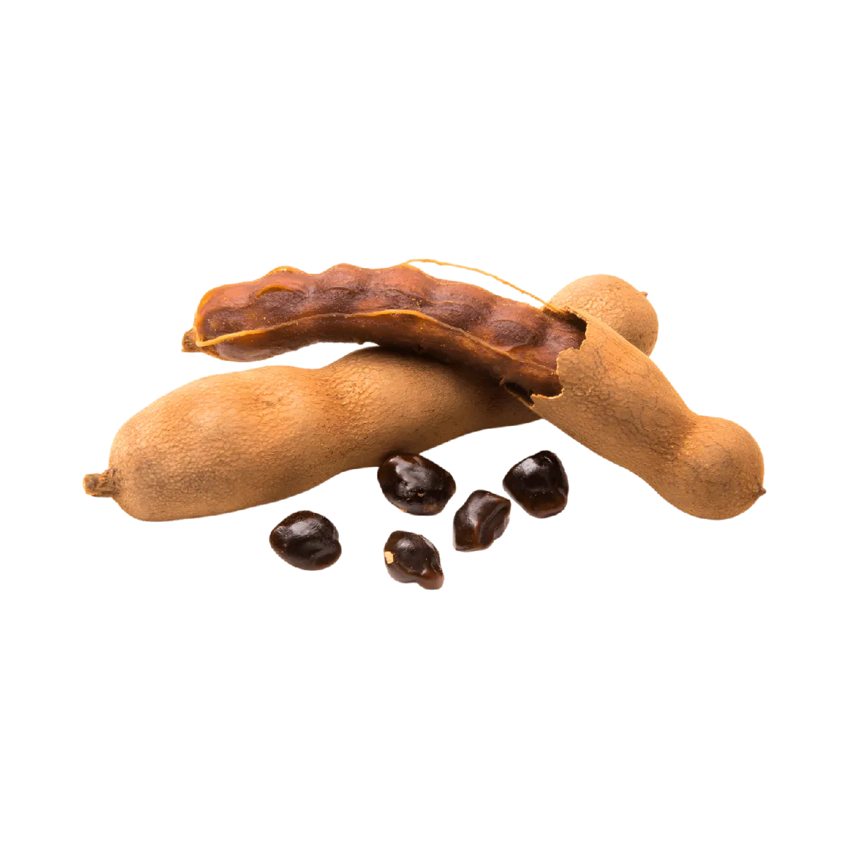 Gousses et graines de tamarin utilisées dans l'Infusion RACINES tamarin Afrique. Ingrédient naturel au goût acidulé et sucré.