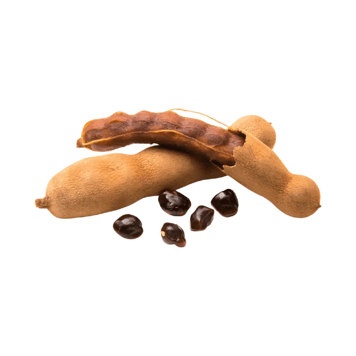 Afrikaanse infusie tamarinden RACINES, verkocht per set, met bruine zaden.