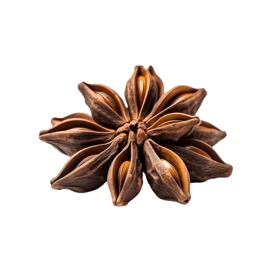 Gousse d’anis étoilé séchée, ingrédient clé de l’Infusion Digestion BIO PROPHYTAMINE, reconnue pour ses bienfaits digestifs.