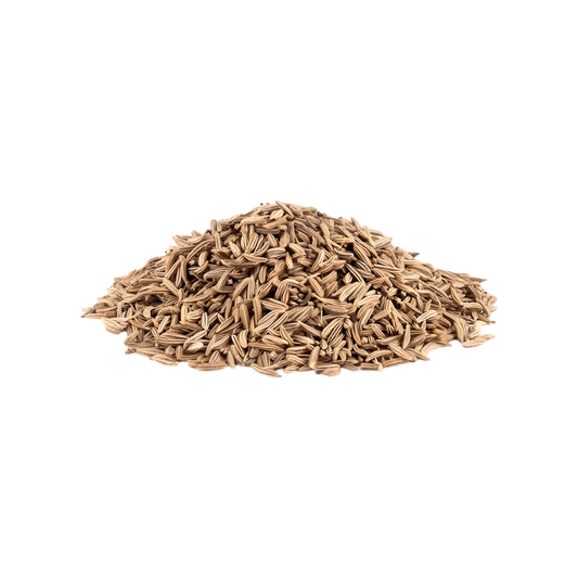 Graines de carvi séchées, composant naturel de l’Infusion Digestion BIO PROPHYTAMINE, favorisant un transit harmonieux.