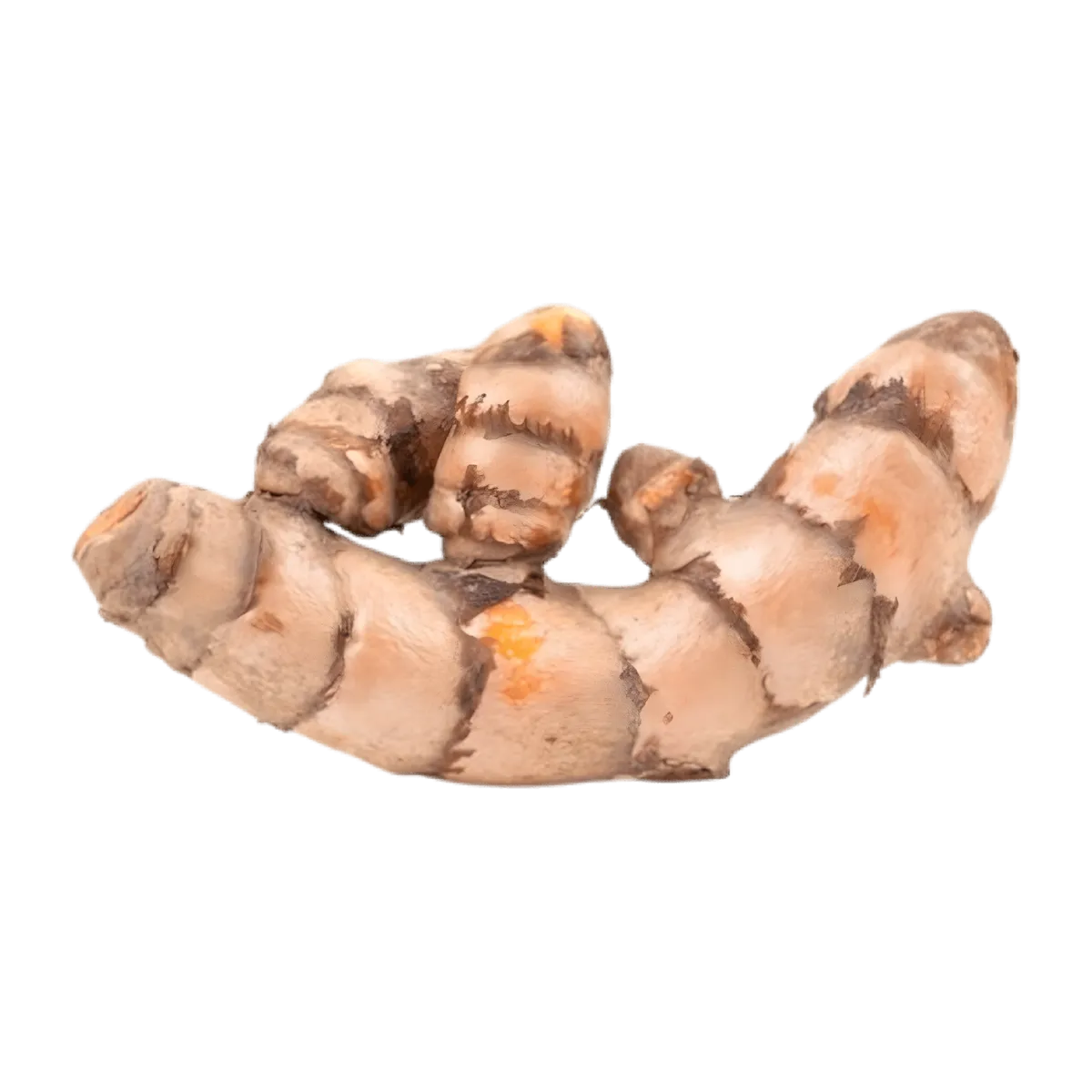 Racine de curcuma utilisée dans l'infusion articulation bio PROPHYTAMINE, plante bien-être pour la mobilité et la vitalité articulaire.
