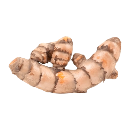 Racine de curcuma utilisée dans l'infusion articulation bio PROPHYTAMINE, plante bien-être pour la mobilité et la vitalité articulaire.